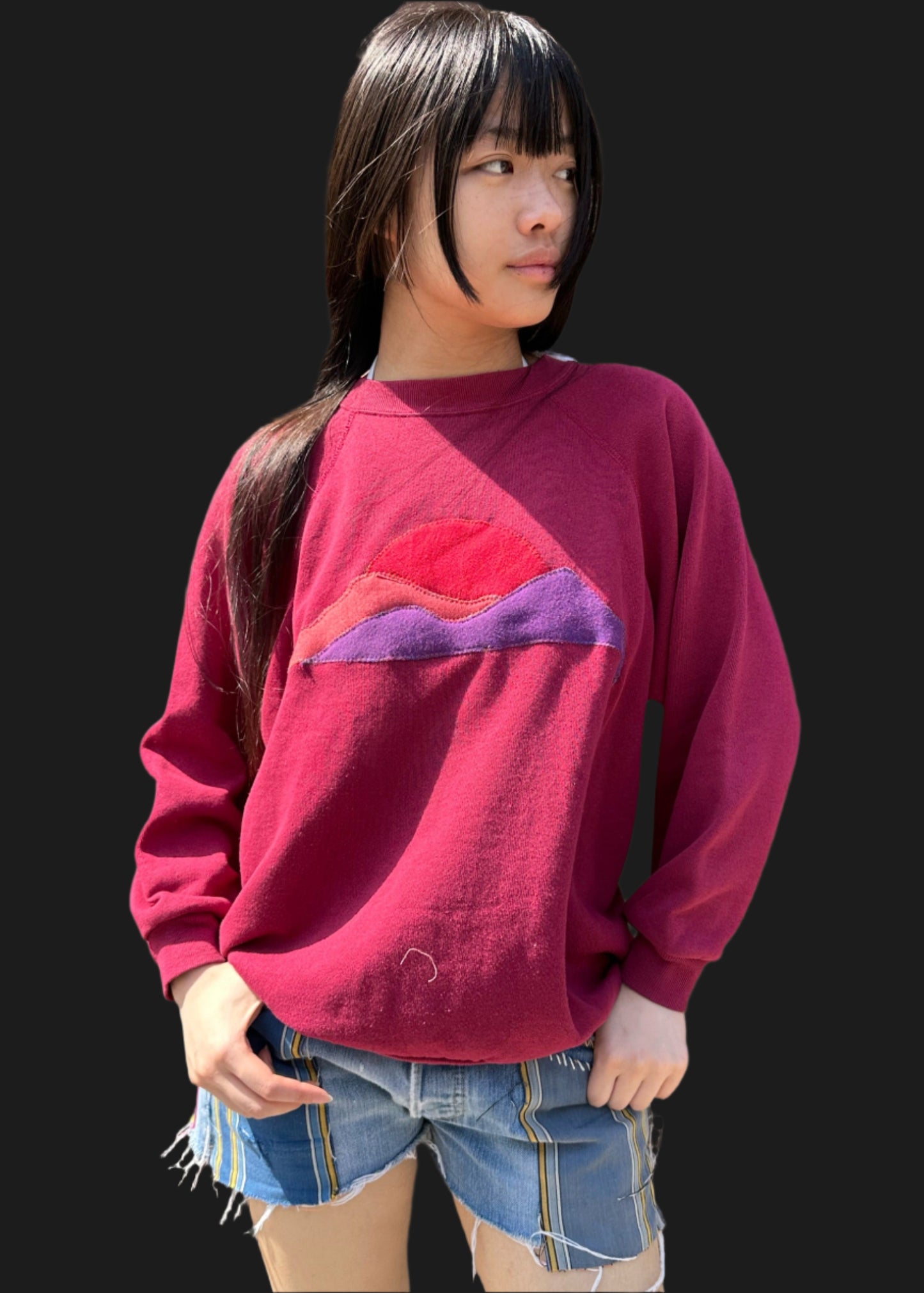 Appliqued Long Sleeve Sweat