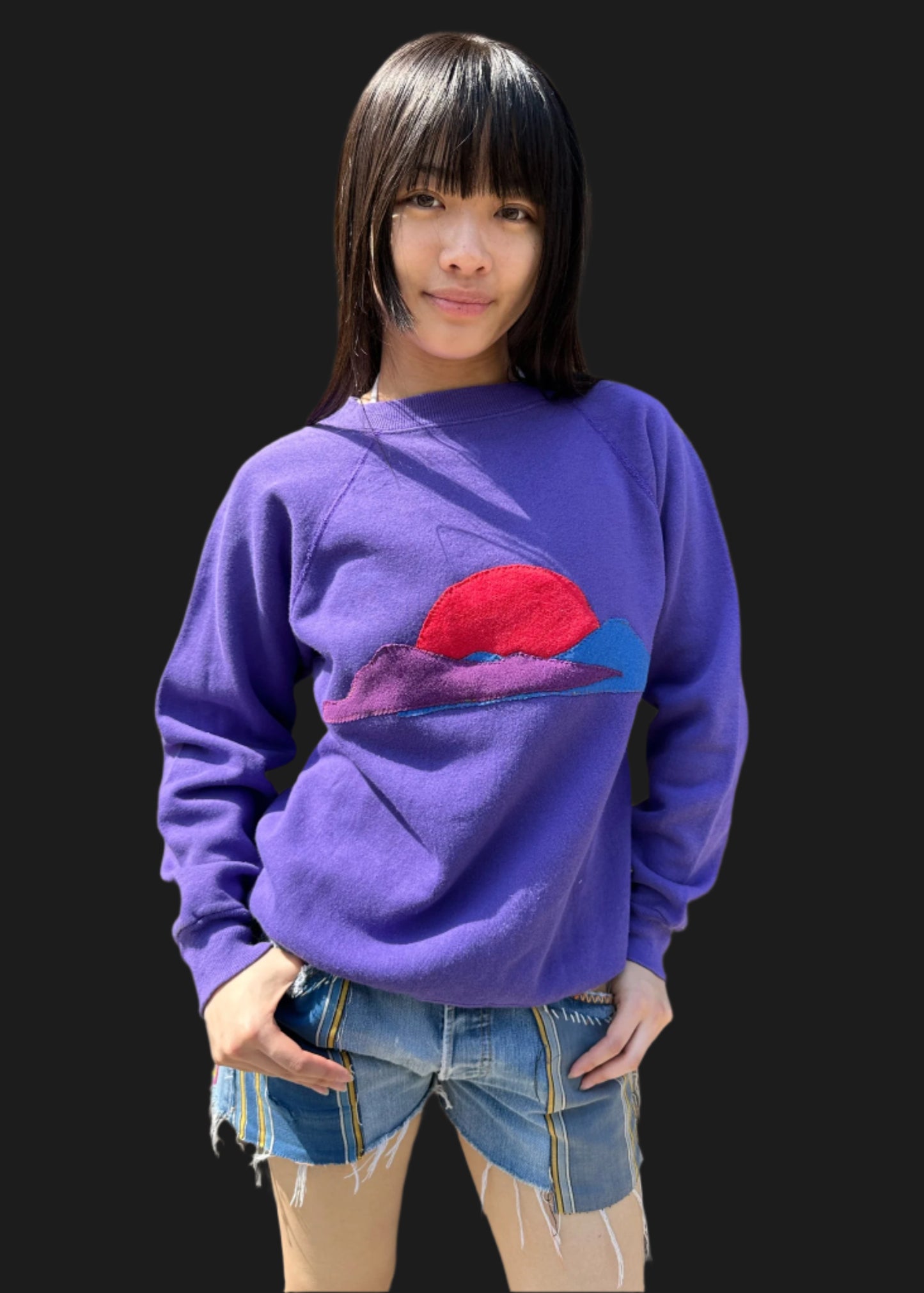 Appliqued Long Sleeve Sweat