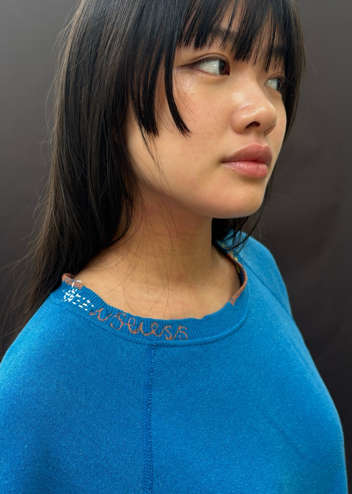 Blue Embroidered Sweatshirt