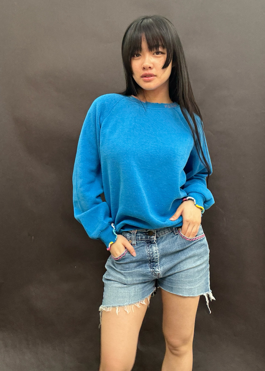 Blue Embroidered Sweatshirt