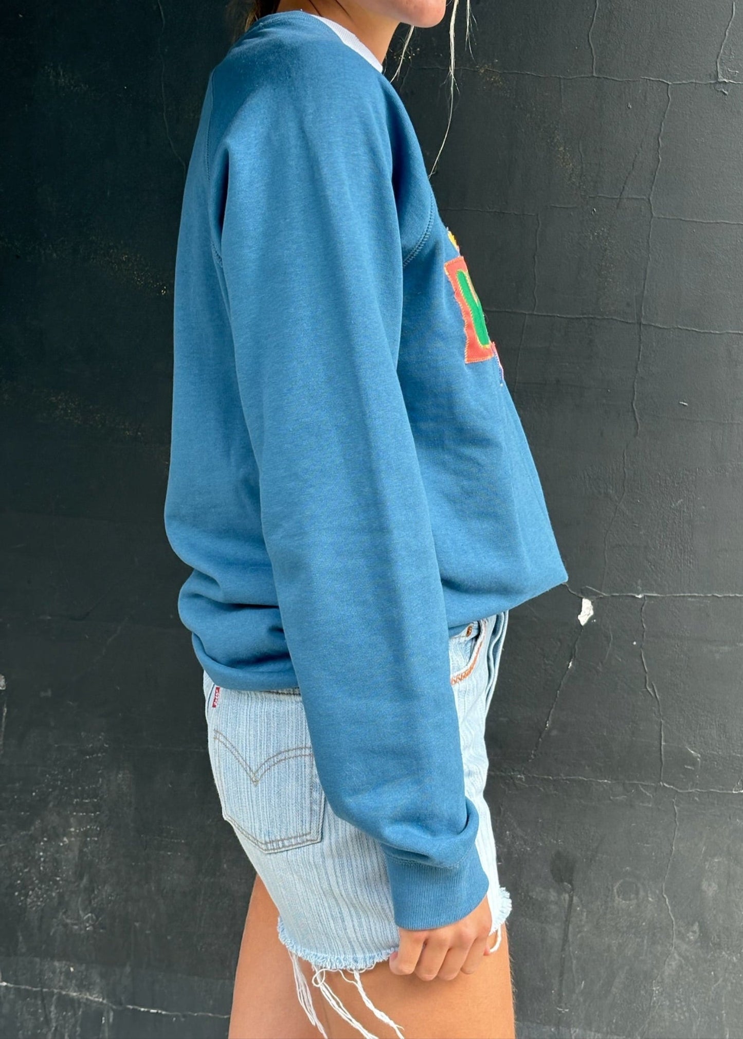 Blue Applique Sweatshirt