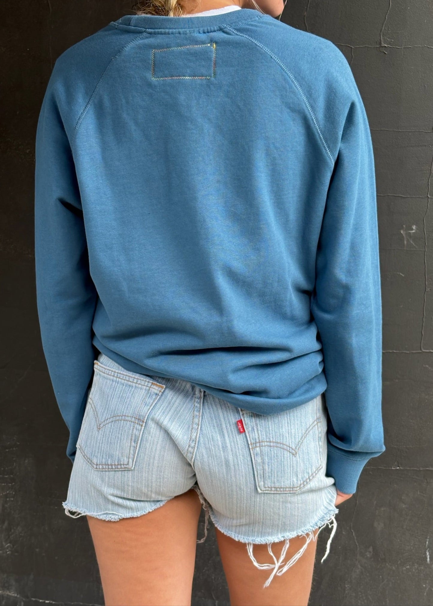 Blue Applique Sweatshirt