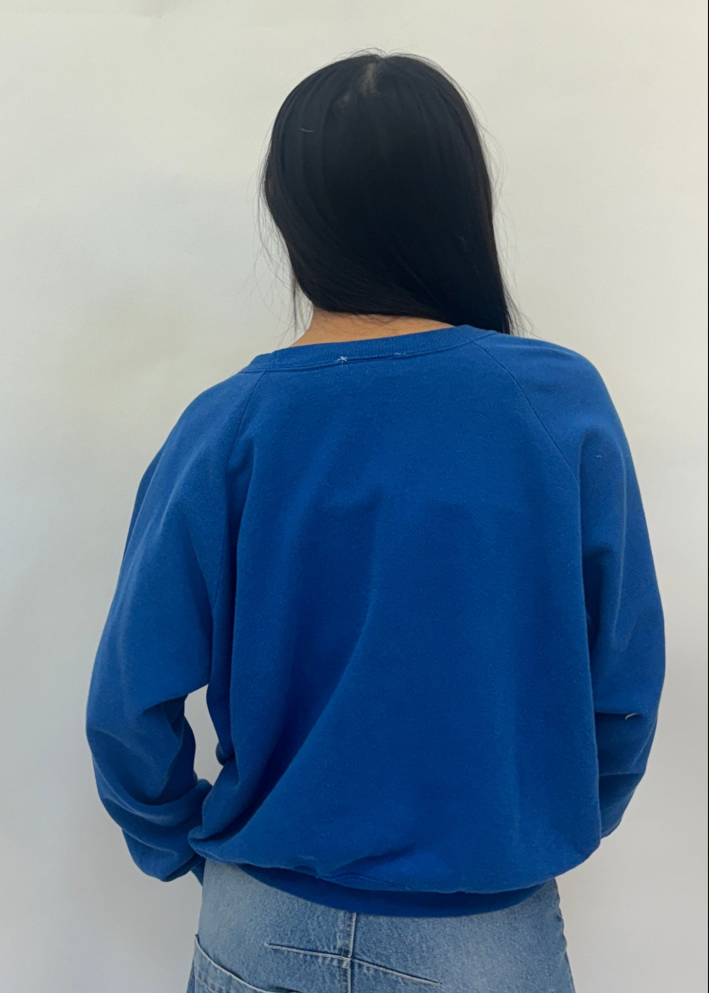Blue Stripe Sweatshirt