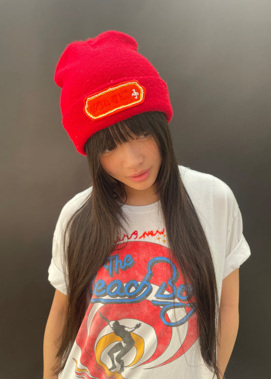 Red USA Ski Beanie