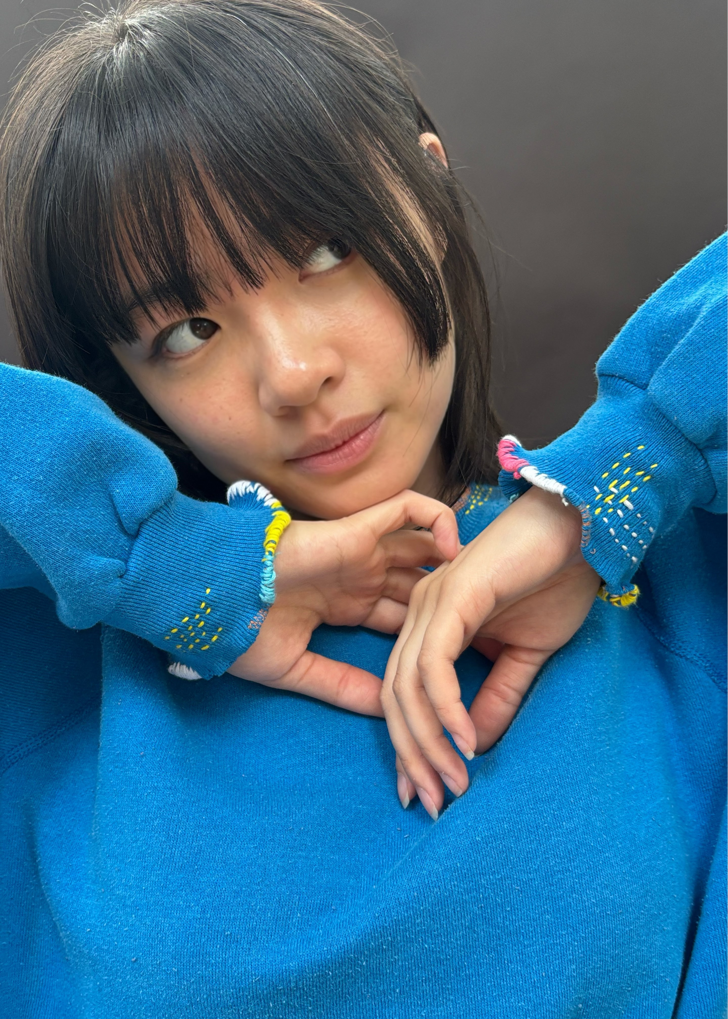 Blue Embroidered Sweatshirt